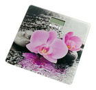 Весы напольные ROTEX RSB15-P